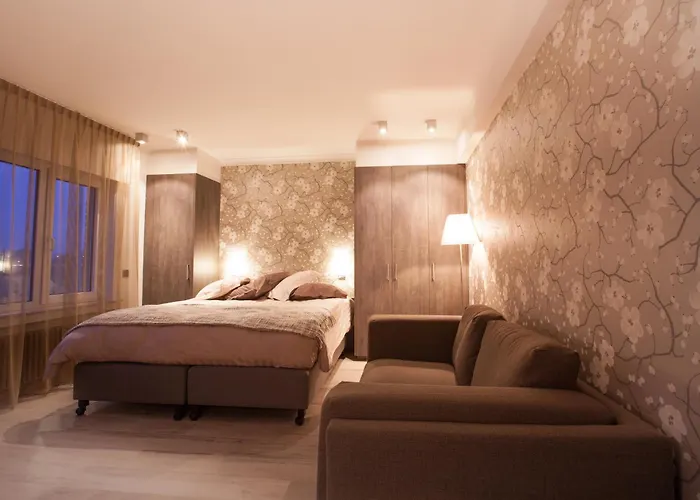 In Front Of The Sea With Natural Swimming Pond * 奥斯滕德