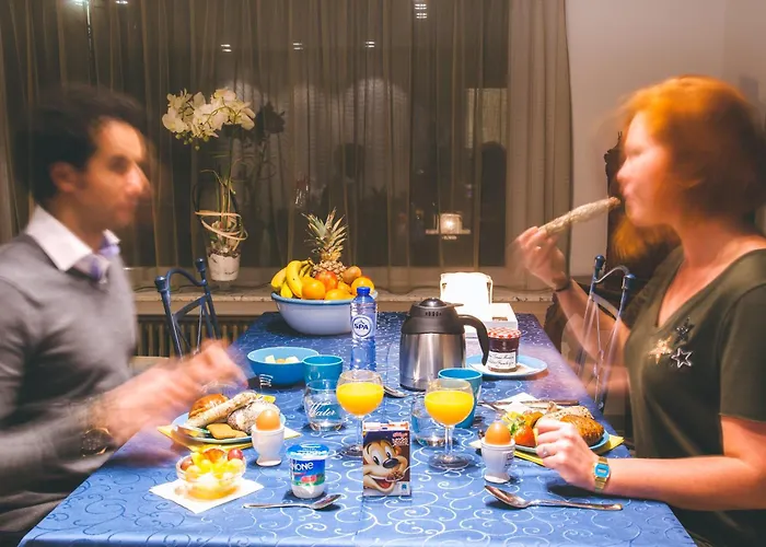 Casa de Férias In Front Of The Sea With Natural Swimming Pond Ostend